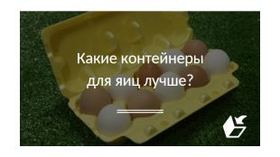 Какие контейнеры для яиц лучше?