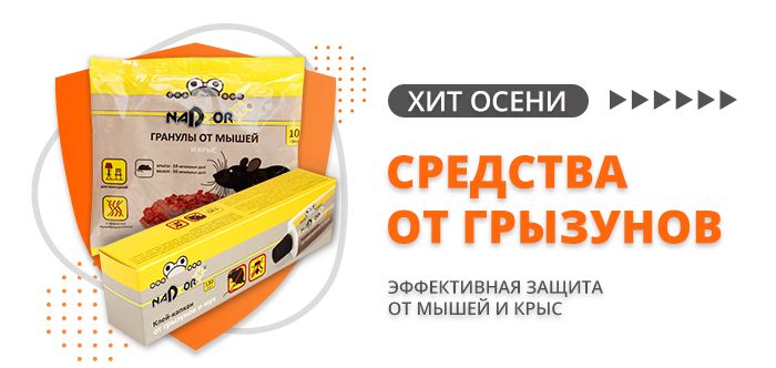Канцелярские товары