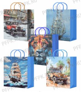 Сумочка бумажная 26х32х13 МЕГА (L) L26-341/342/343/344/345 (Мужская) [10/200]