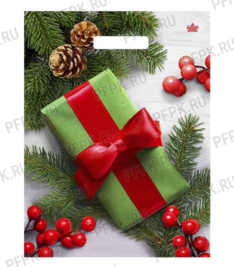 НГ МАГИЯ ПРАЗДНИКА проруб. 40х31(60 мкм)ПВД,лам.,ТИКО Калина в подарок [50/500]