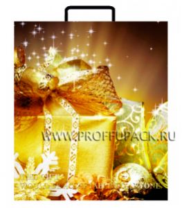 НГ Сумочка из мягкого пластика 01 (26х23х10) малая BAS-55 (Подарки) [20/200]