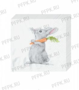Салфетки бум. DESNA BOUQUET 20х20, 2-сл. (30 листов) Кролик и морковка [26/26]