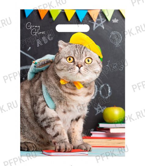 ГРЕЙ ГЛОСС, вырубная ручка 31,5х43 (50мкм) ПВД, ТИКО Кот [50/500]