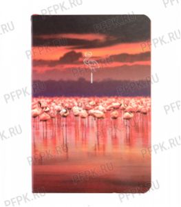 Блокнот А6 (80 листов) твердая обложка Flamingo (112-099) [1/40]